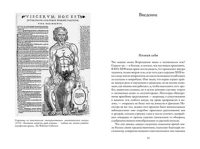 Хирург, акушерка, шарлатан: Как зарождалась современная медицина, или Как выжить в эпоху Возрождения - фото 11