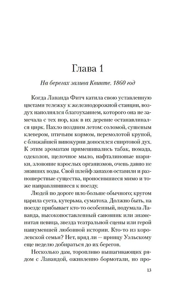 Сад чудес и волшебная арфа - фото 14