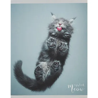 Тетрадь в клетку Listoff, "Пушистые лапки", 96 листов, в ассортименте - фото 3