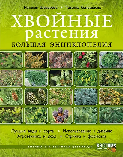 Хвойные растения. Большая энциклопедия - фото 1