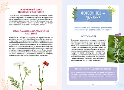 Растения вокруг нас - фото 6