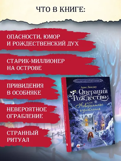 Операция Рождество, или Невероятное ограбление - фото 9