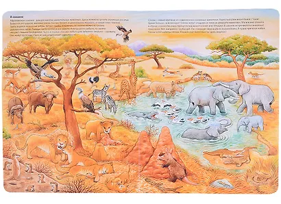 Мир животных. Виммельбух - фото 5