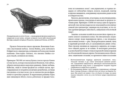 Краткая история Китая - фото 11