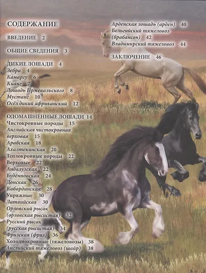Лошади. Энциклопедия - фото 2
