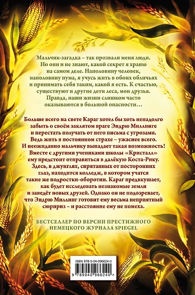 Дети леса. Месть пумы (#4) - фото 2