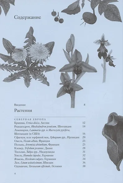 Вокруг света за 80 растений - фото 4