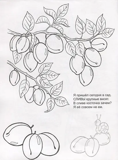 Летний сад. Раскраска с наклейками - фото 4