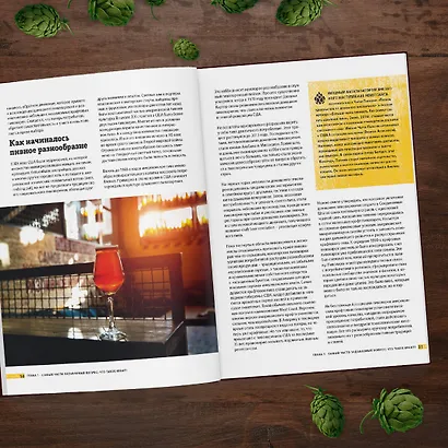 Крафтовое пиво. Пивная революция: руководство от инсайдера - фото 4