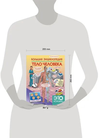 Большая энциклопедия. Тело человека - фото 3