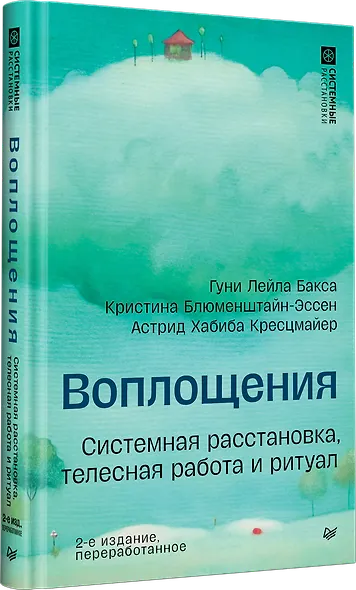 Воплощения. Системная расстановка, телесная работа и ритуал. 2-е издание, переработанное - фото 2