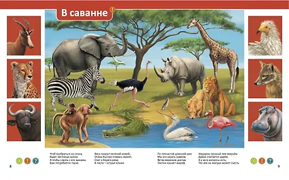Эти удивительные животные - фото 5