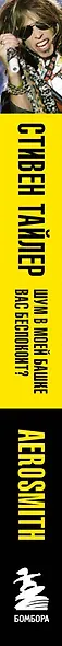 Аэросмит. Шум в моей башке вас беспокоит? - фото 5
