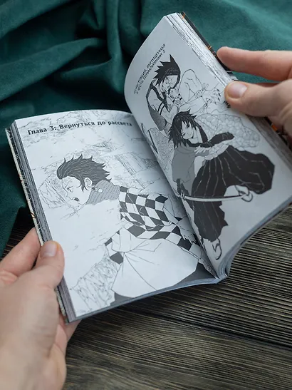 Истребитель демонов. Том 1 (Клинок, рассекающий демонов / Demon Slayer: Kimetsu no Yaiba). Манга - фото 13