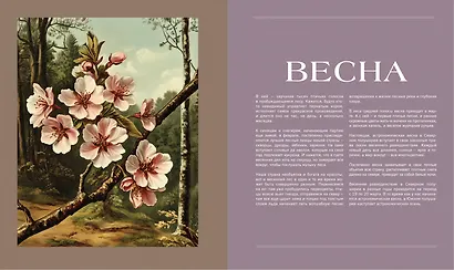 Тайная жизнь леса. Русская природа в фактах и зарисовках - фото 5