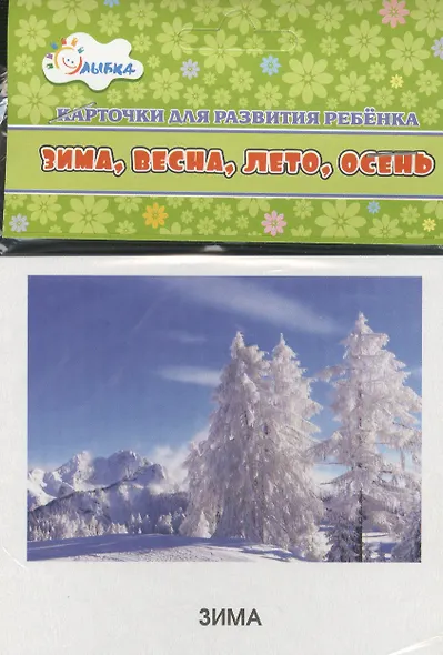 Карточки для развития ребенка "Зима, весна, лето, осень" - фото 1