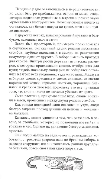 Город Прокаженного короля - фото 7