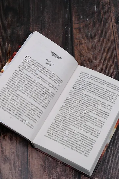 Город опаленных крыльев - фото 8