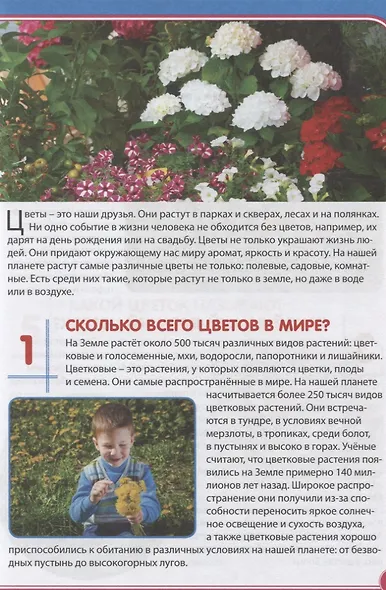Цветы. Почемучкам и любознашкам - фото 2