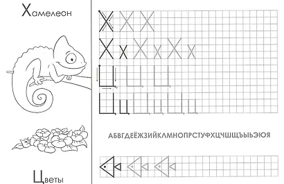 Печатные буквы. Прописи - фото 4