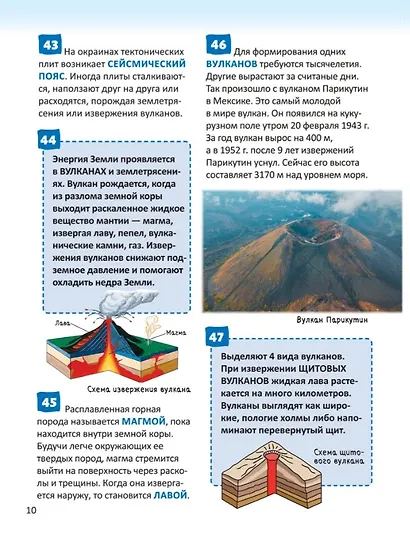 Планета Земля. Энциклопедия российского школьника - фото 4