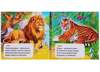 Зоопарк. книжка-пищалка для ванной - фото 2