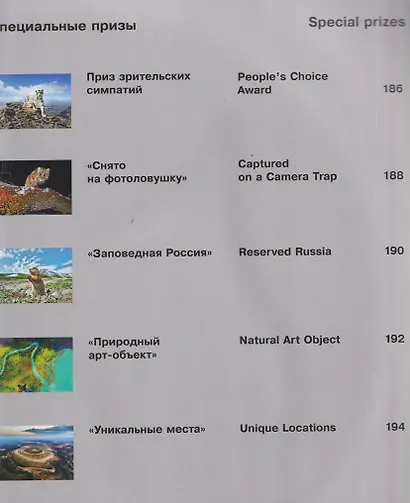 Россия самая красивая страна. Фотоконкурс 2025 - фото 12