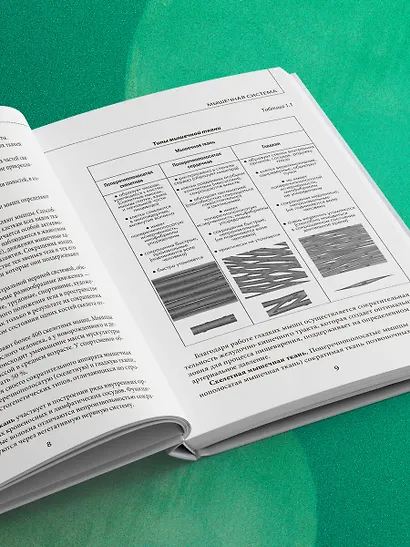 МИОФАСЦИАЛЬНЫЙ РЕЛИЗ. Эффективные методики растяжения мышц и фасций для предупреждения травм и избавления от хронических болей - фото 9