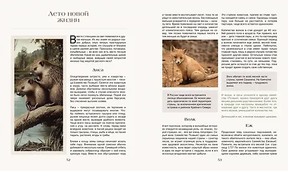 Тайная жизнь леса. Русская природа в фактах и зарисовках - фото 7