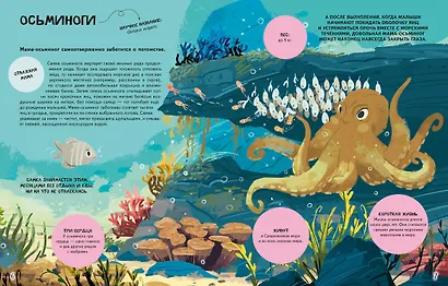 Семья в мире животных. Любовь, забота и воспитание в дикой природе - фото 4