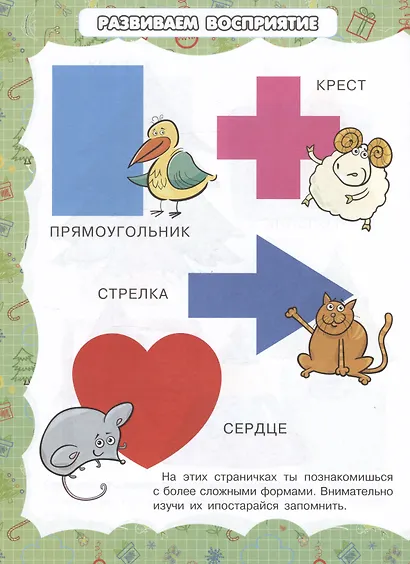 Форма и цвет - фото 5