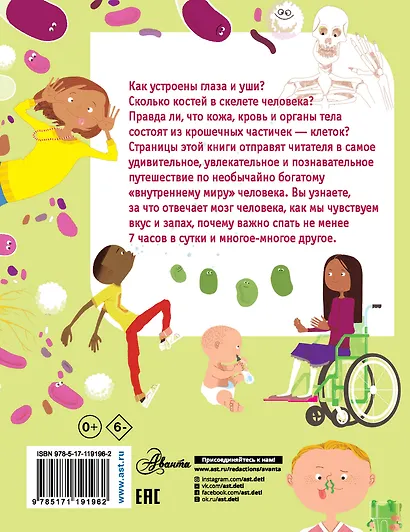 Как устроено моё тело? - фото 2
