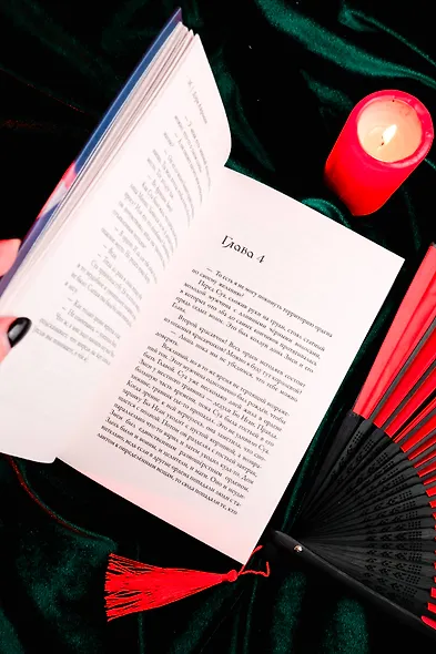 На черных крыльях феникса - фото 11