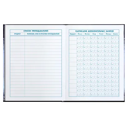 Дневник для младших классов Феникс+, "Кот" - фото 5