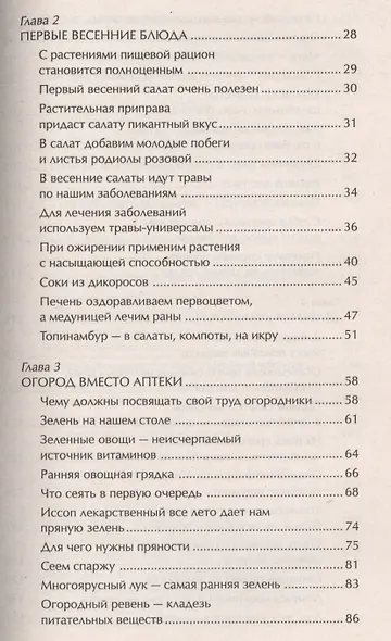 Наши дачные лекари - живые витамины. Овощные и дикорастущие растения - фото 3