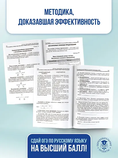 ОГЭ на 100 баллов. Русский язык. Справочник. Теория и практика - фото 7