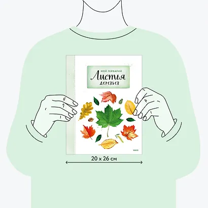 Мой гербарий. Листья деревьев(переупак) - фото 7