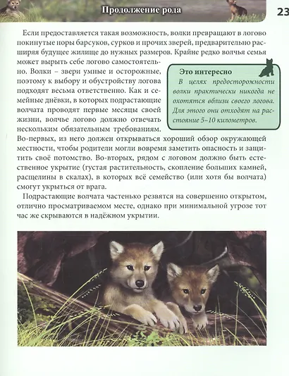 Волки - фото 5