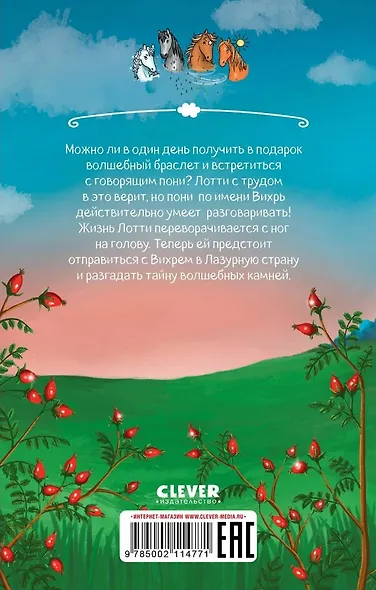 Облачные пони. Тайна волшебных камней - фото 4