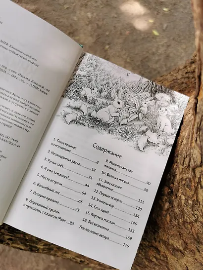 Книжный лес - фото 8