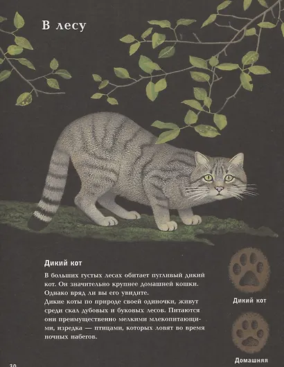 Ночные животные - фото 10