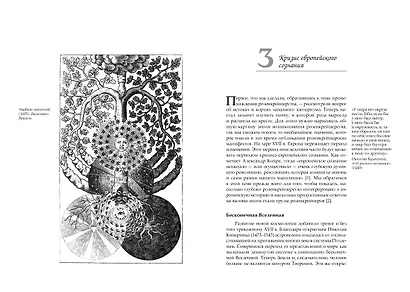 Крест, увитый розами: История, символы и традиции ордена розенкрейцеров - фото 15