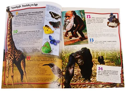 100 фактов. Эволюция (на армянском языке) - фото 5