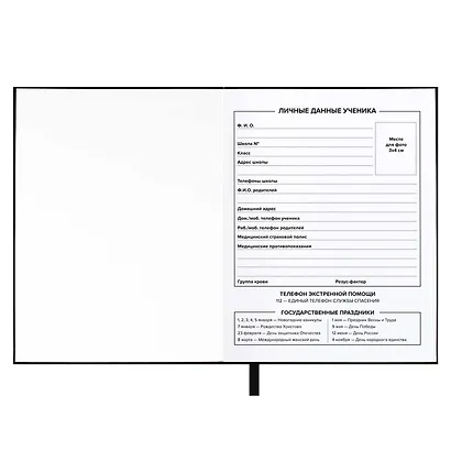 Дневник шк. "Огненный мотоцикл" тв.переплёт, глянц.ламинация, пантон, ляссе, универс.шпаргалка - фото 10