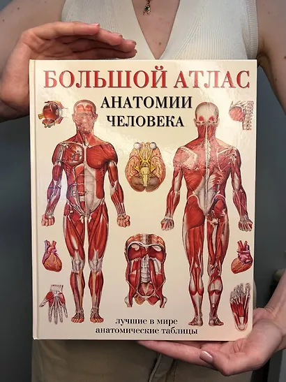 Большой атлас анатомии человека - фото 7
