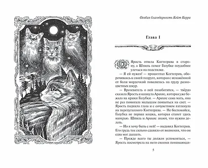 Тень Когтегрива. Книга 2. Возвращение - фото 2