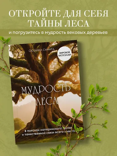 Мудрость леса. В поисках материнского древа и таинственной связи всего живого - фото 4