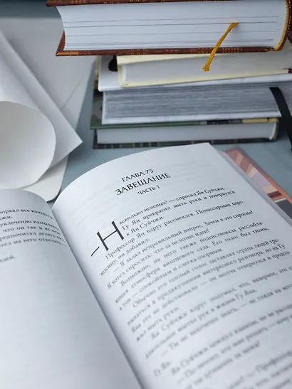 Первоклассный адвокат. Том 2 (Ace Attorney). Новелла - фото 10