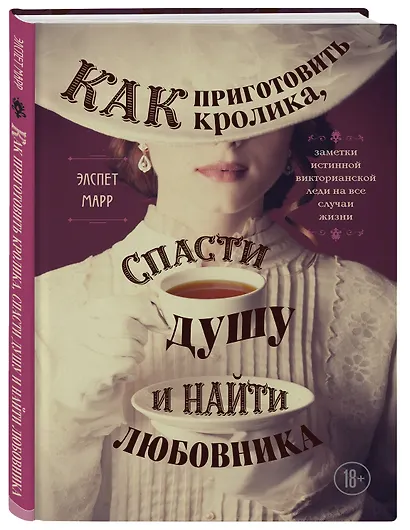 Как приготовить кролика, спасти душу и найти любовника. Заметки истинной викторианской леди на все случаи жизни - фото 3