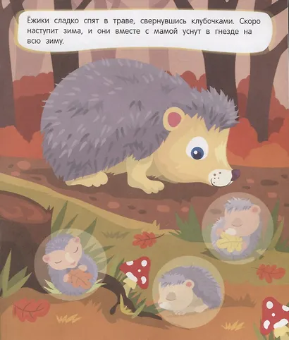 Мамы и малыши. Лес. 22 наклейки - фото 5